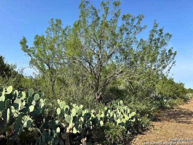 Image 19 of 22 For 0 Cameron Ln