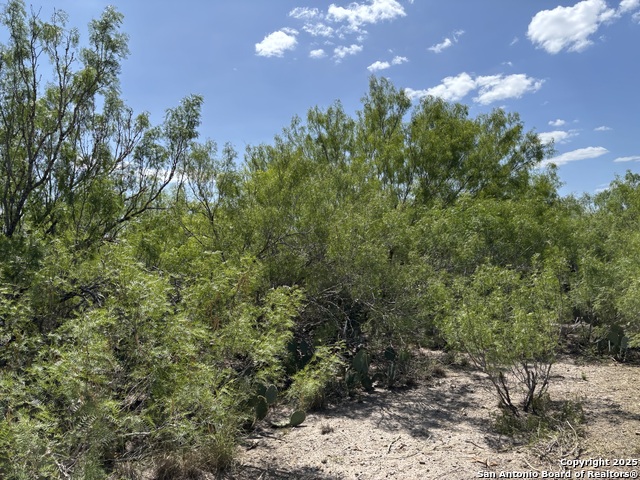 Image 20 of 22 For 0 Cameron Ln