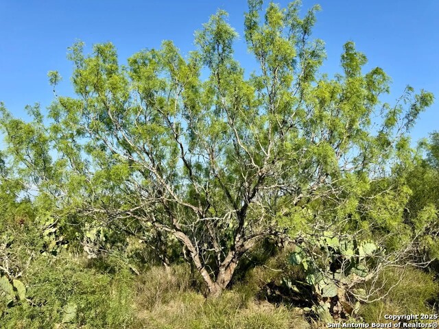 Image 4 of 22 For 0 Cameron Ln