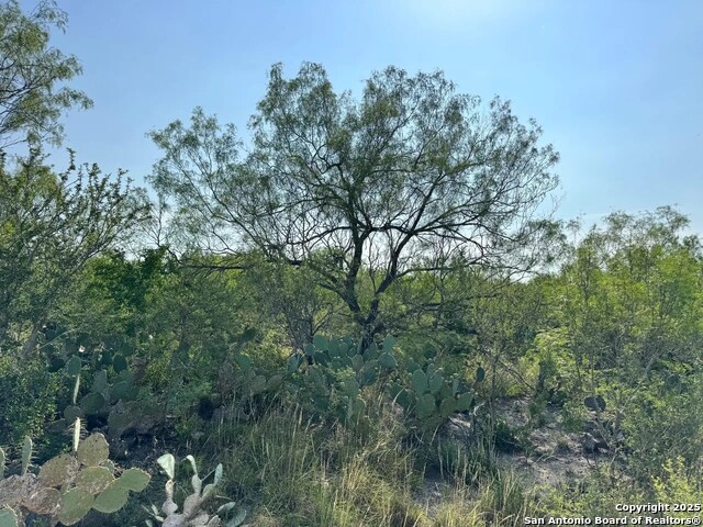 Image 5 of 22 For 0 Cameron Ln