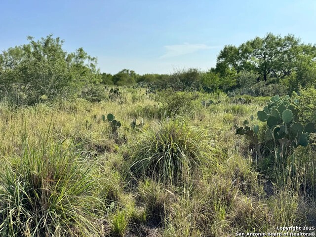 Image 6 of 22 For 0 Cameron Ln