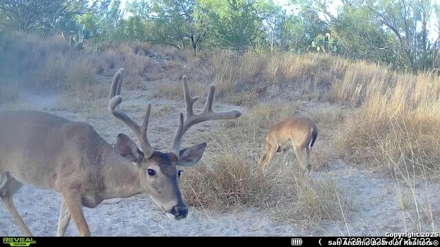 Image 7 of 22 For 0 Cameron Ln