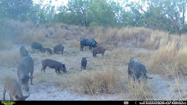 Image 8 of 22 For 0 Cameron Ln