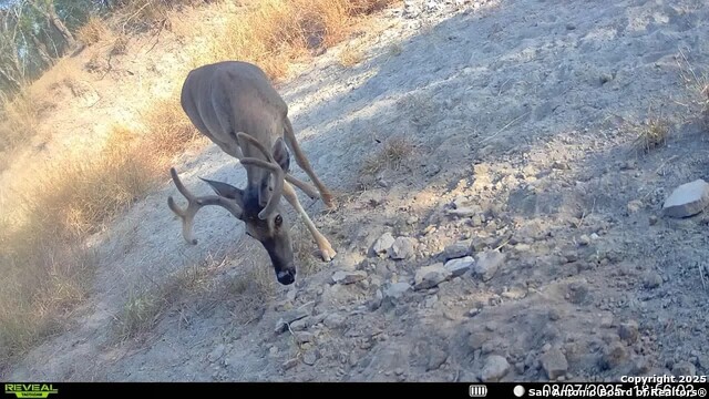 Image 9 of 22 For 0 Cameron Ln