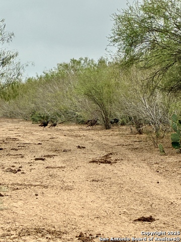 Image 15 of 16 For 2713 Fm 716