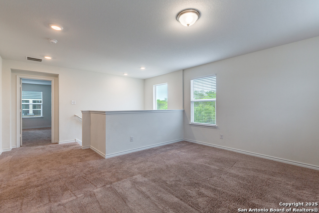 Image 15 of 24 For 11205 Plaudit