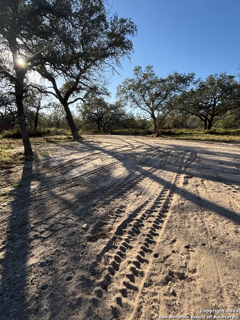 Image 4 of 7 For 299 Praise Dr