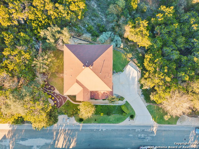 Image 50 of 50 For 19324 Strauss