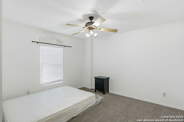 Image 25 of 30 For 7443 Concerto