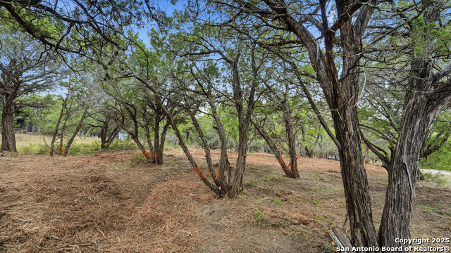 Listing photo id 1 for 799 Hillside