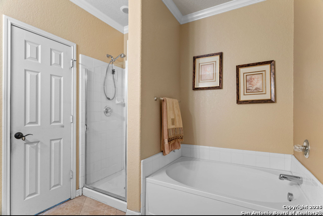 Image 16 of 25 For 10818 Butterfly Flat