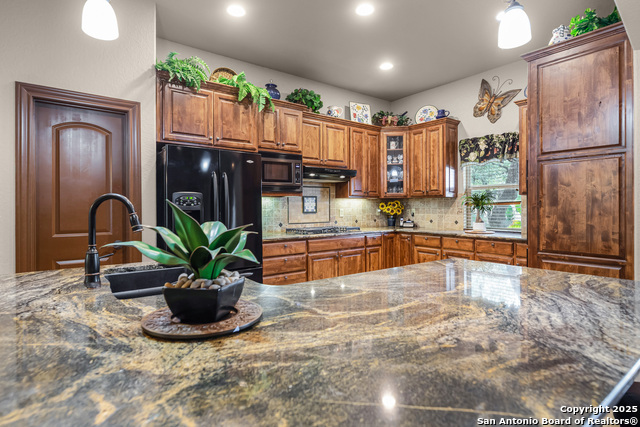 Image 6 of 30 For 2581 Otter