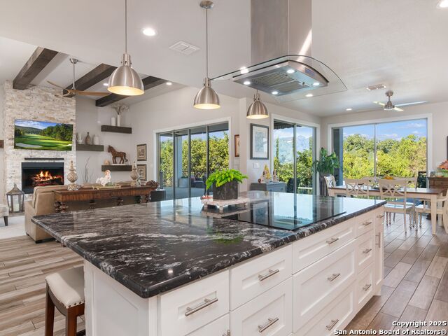 Image 17 of 62 For 2016 Big Spring