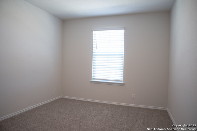 Image 15 of 20 For 5903 Cosmic Crisp