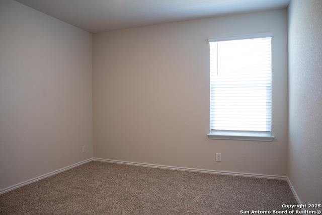 Image 16 of 20 For 5903 Cosmic Crisp