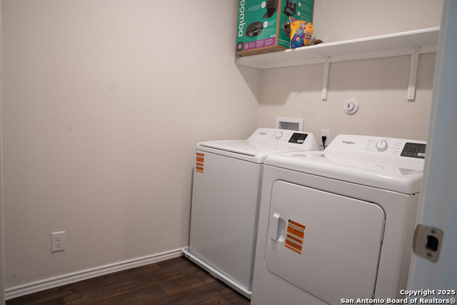 Image 17 of 20 For 5903 Cosmic Crisp