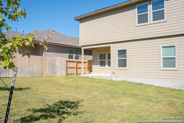 Image 20 of 20 For 5903 Cosmic Crisp