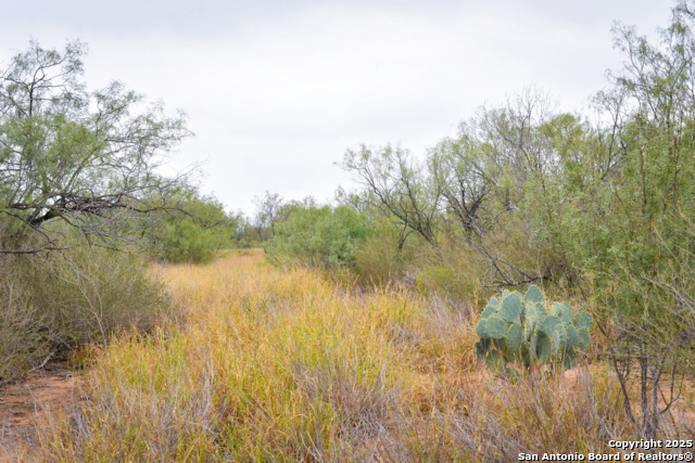 Image 10 of 18 For 000 Jefferies Road