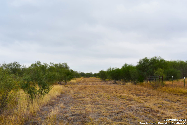 Image 11 of 18 For 000 Jefferies Road