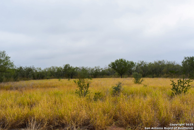 Image 17 of 18 For 000 Jefferies Road