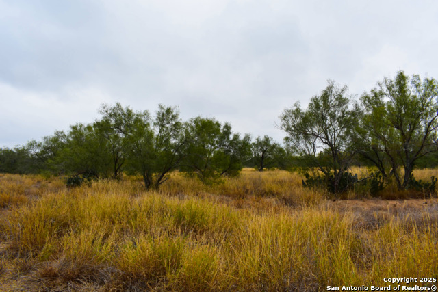 Image 4 of 18 For 000 Jefferies Road