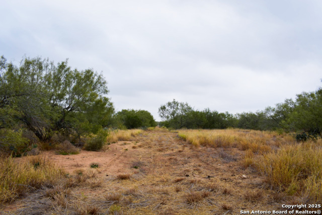 Image 6 of 18 For 000 Jefferies Road