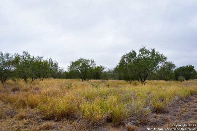 Image 7 of 18 For 000 Jefferies Road