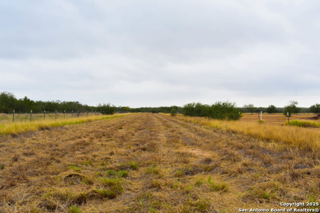 Image 8 of 18 For 000 Jefferies Road