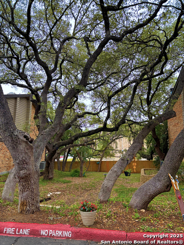 Image 20 of 22 For 11815 Vance Jackson  1602