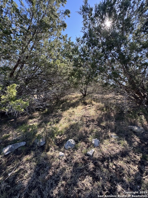 Listing photo id 5 for 725 Private Road 1514