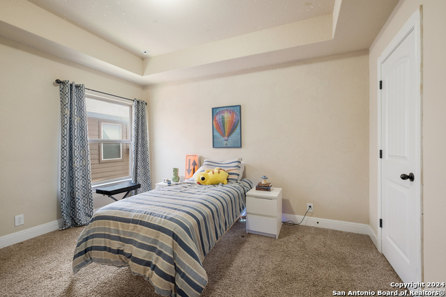 Image 22 of 24 For 24503 Merlot