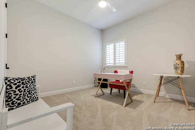 Image 28 of 39 For 3811 Ricegrass