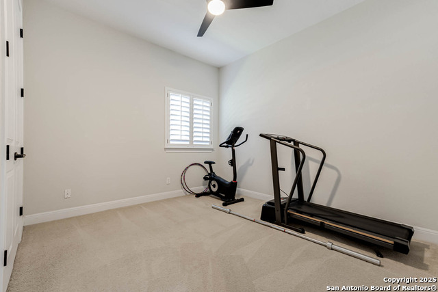 Image 29 of 39 For 3811 Ricegrass