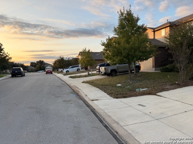 Image 26 of 26 For 15555 Night Heron