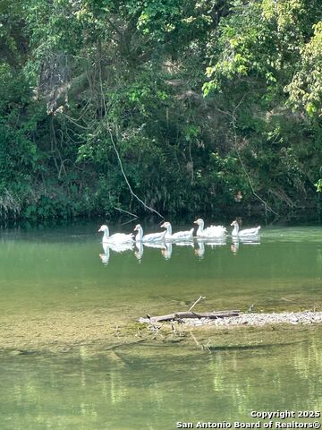 Listing photo id 10 for 10485 Fm 466