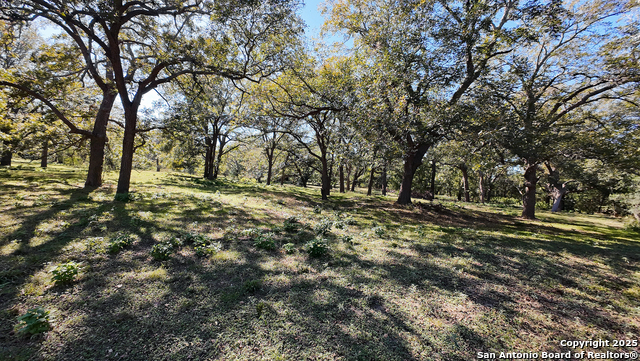 Listing photo id 12 for 10485 Fm 466