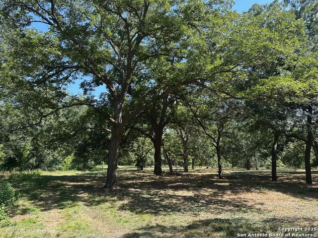 Listing photo id 13 for 10485 Fm 466