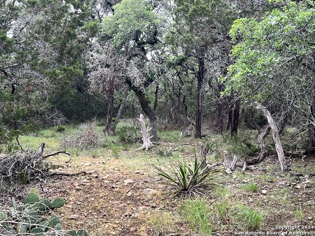 Image 11 of 11 For 512 Lasso  