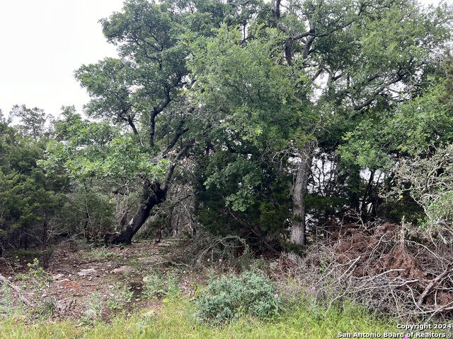 Image 3 of 11 For 512 Lasso  