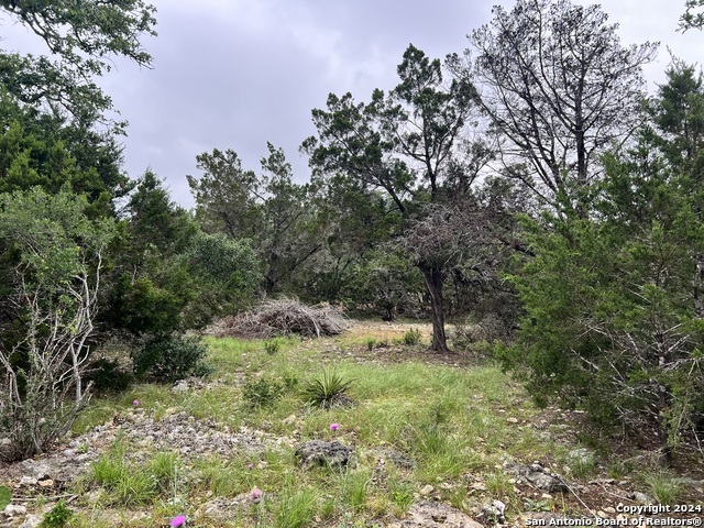 Image 4 of 11 For 512 Lasso  