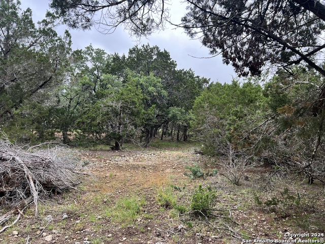 Image 5 of 11 For 512 Lasso  