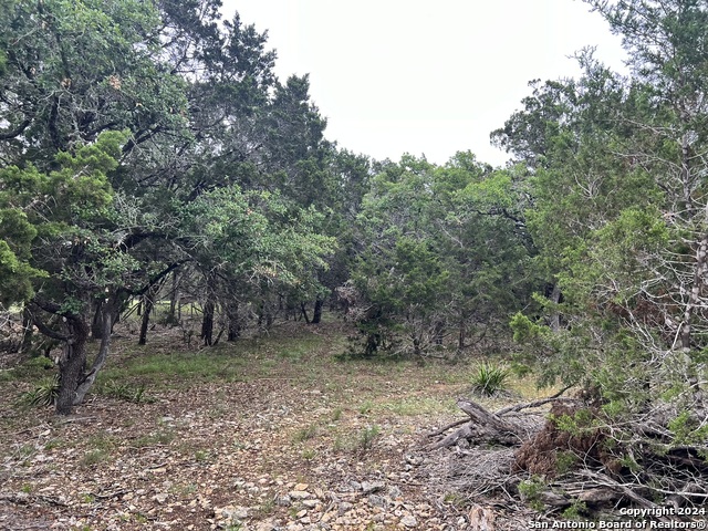 Image 6 of 11 For 512 Lasso  