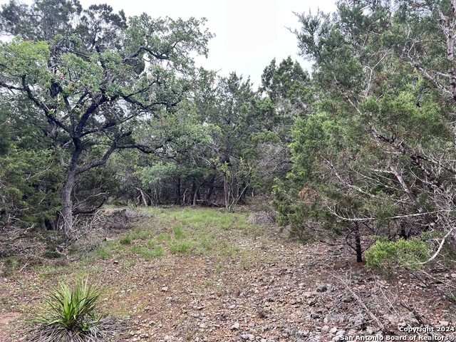 Image 7 of 11 For 512 Lasso  