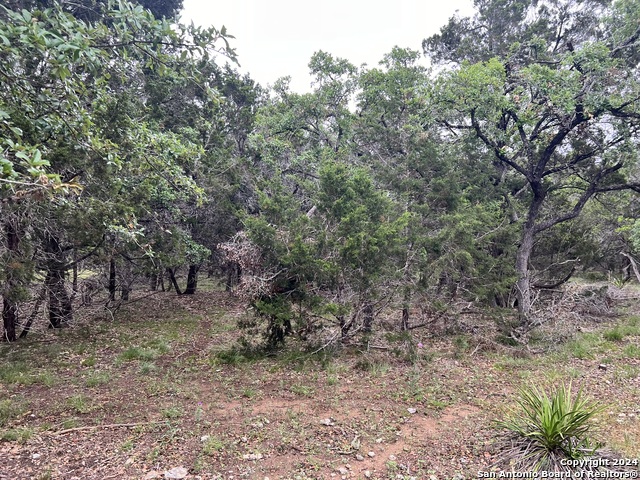 Image 8 of 11 For 512 Lasso  