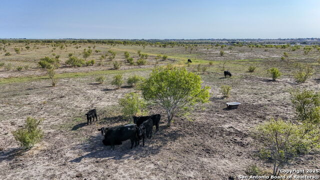 Image 50 of 50 For 2780 Freudenburg