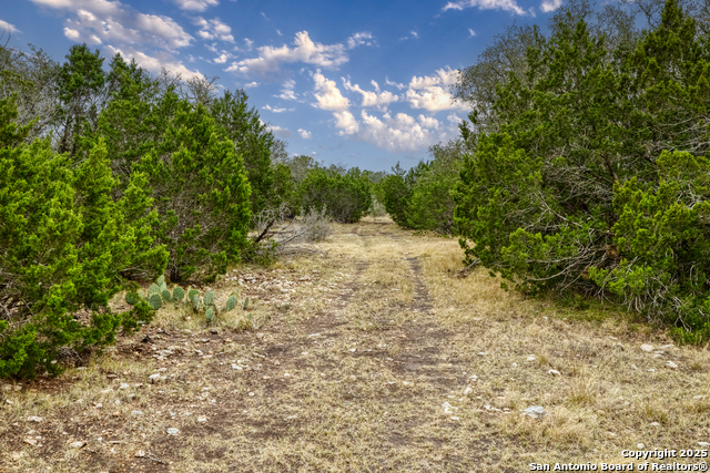 Listing photo id 17 for Address Not Provided