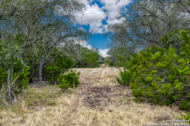 Listing photo id 19 for Address Not Provided