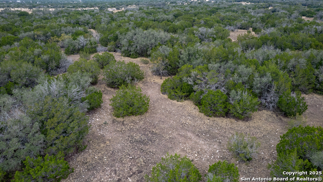 Listing photo id 25 for Address Not Provided