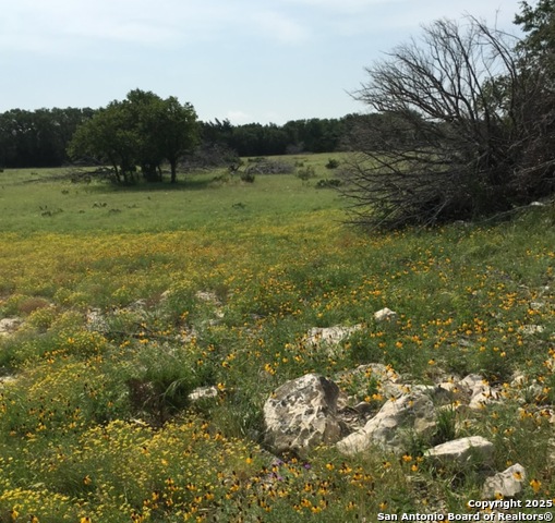 Listing photo id 1 for Address Not Provided