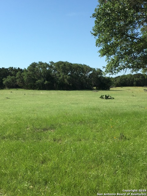 Listing photo id 2 for Address Not Provided